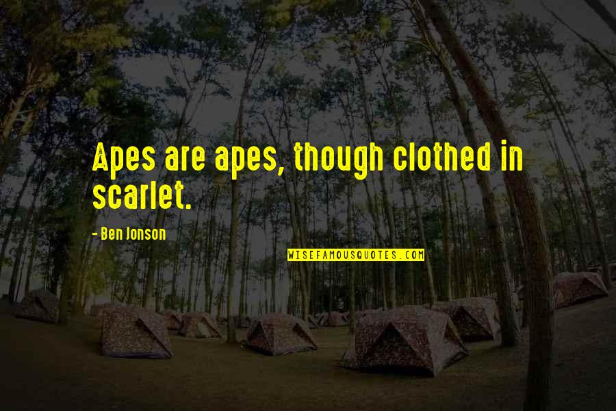Funny Donnie Azoff Quotes By Ben Jonson: Apes are apes, though clothed in scarlet. Funny Donnie Azoff Quotes By Ben Jonson: Apes are apes, though clothed in scarlet.