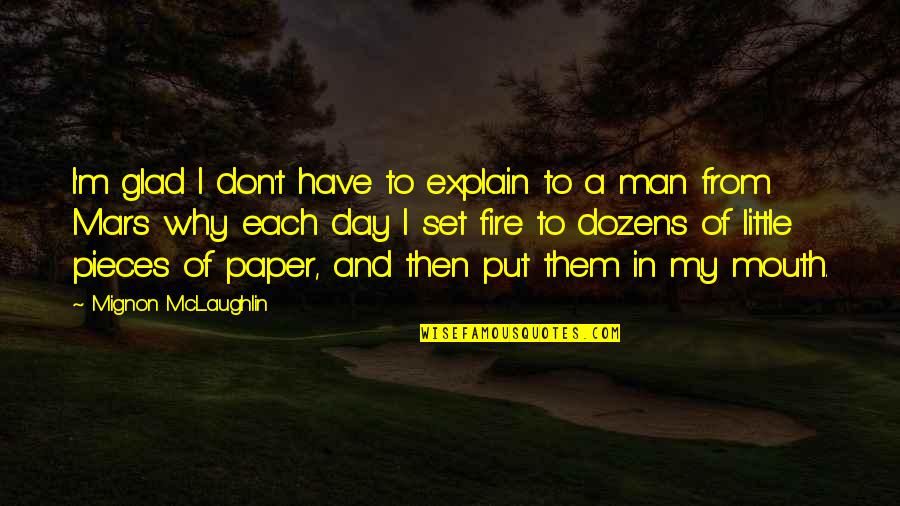 Funny Don't Disturb Quotes By Mignon McLaughlin: I'm glad I don't have to explain to