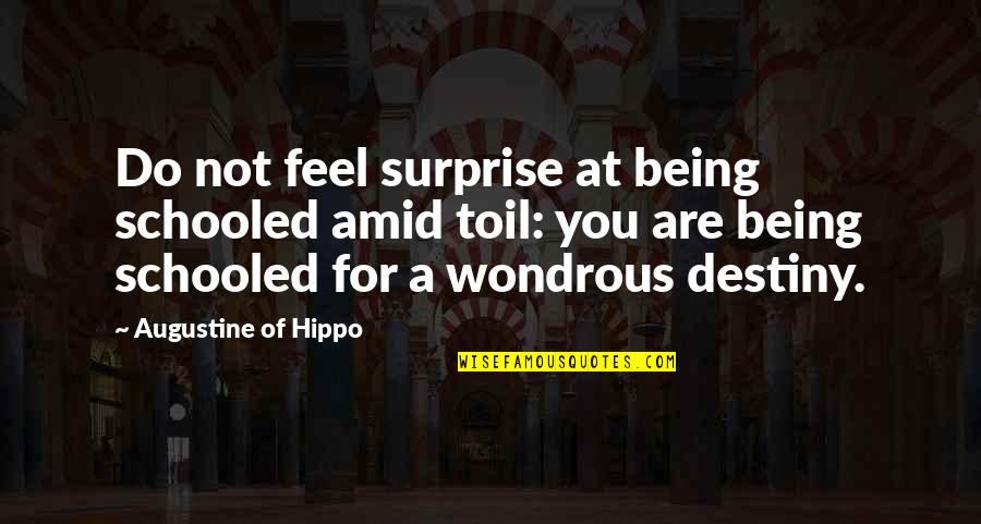 Funny Dora The Explorer Quotes By Augustine Of Hippo: Do not feel surprise at being schooled amid