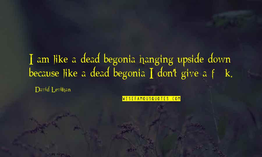 Funny Down And Out Quotes By David Levithan: I am like a dead begonia hanging upside