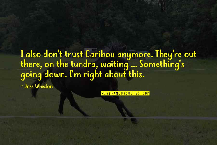 Funny Down And Out Quotes By Joss Whedon: I also don't trust Caribou anymore. They're out