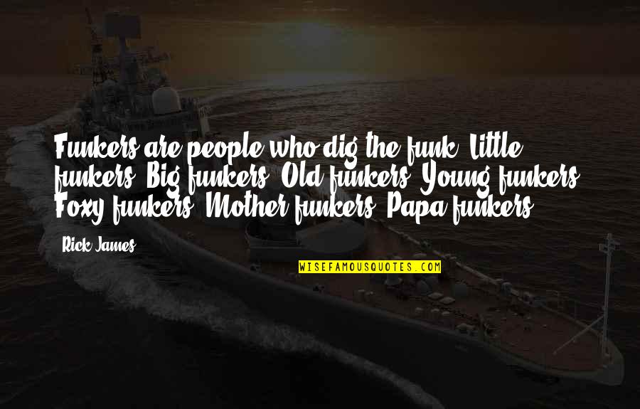 Funny Down In The Dumps Quotes By Rick James: Funkers are people who dig the funk; Little