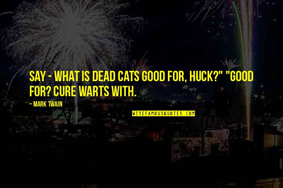 Funny Drivers Ed Quotes By Mark Twain: Say - what is dead cats good for,