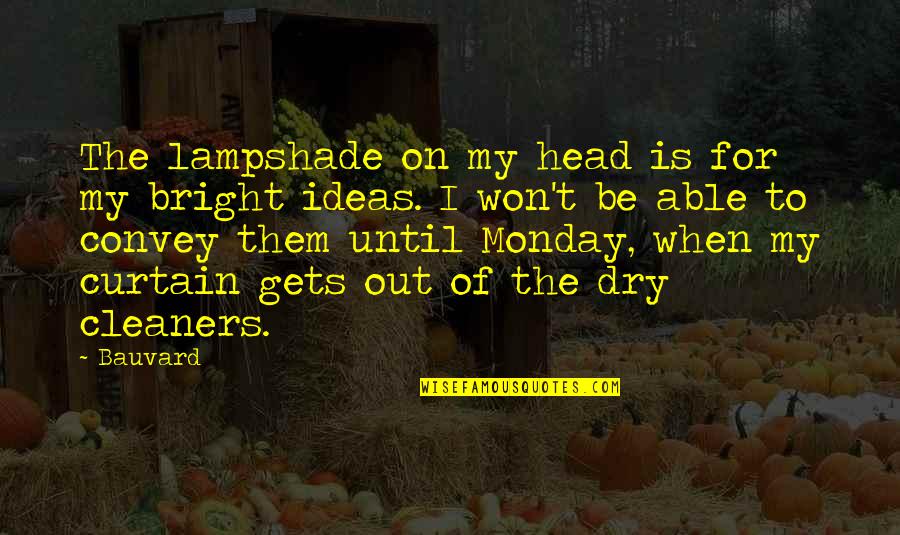 Funny Dry Humor Quotes By Bauvard: The lampshade on my head is for my Funny Dry Humor Quotes By Bauvard: The lampshade on my head is for my
