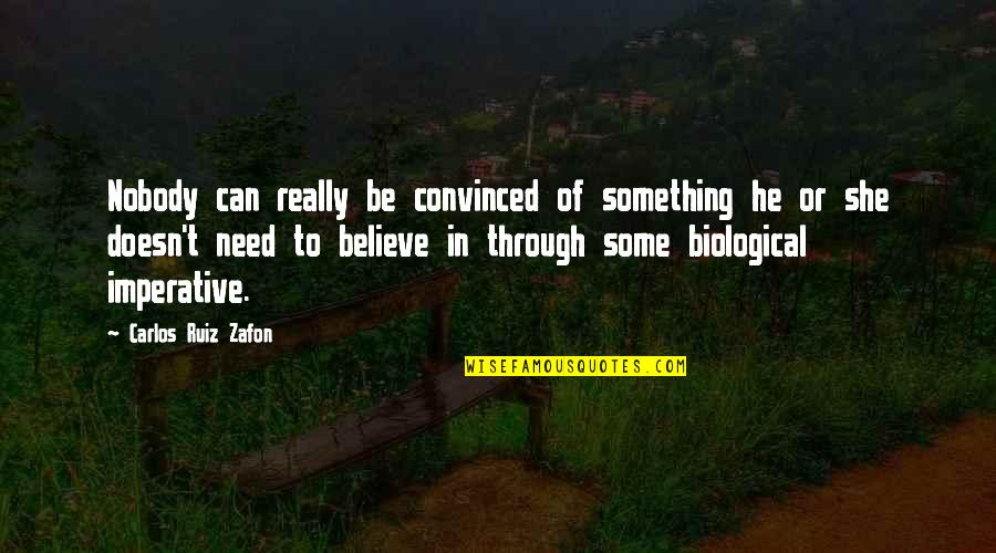 Funny Dumbbells Quotes By Carlos Ruiz Zafon: Nobody can really be convinced of something he