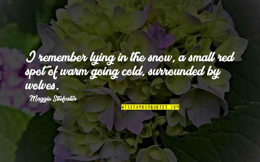 Funny Editing Pictures Quotes By Maggie Stiefvater: I remember lying in the snow, a small