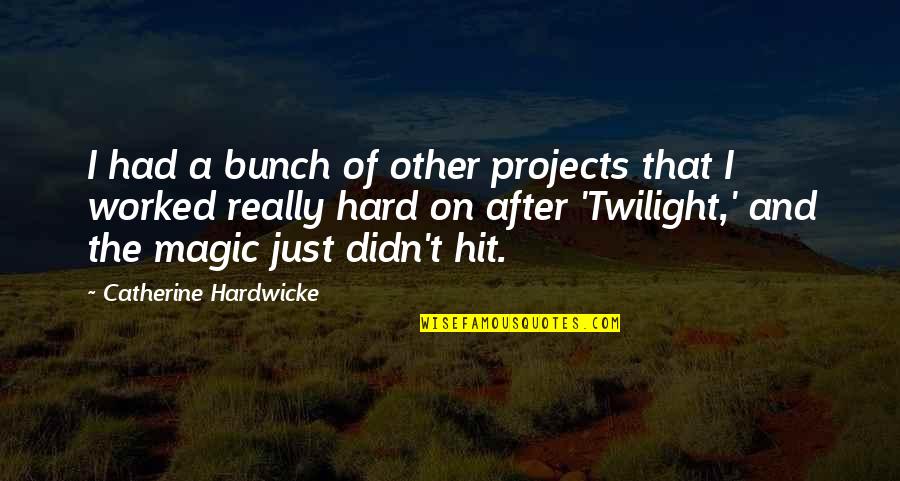 Funny Electrical Engineer Quotes By Catherine Hardwicke: I had a bunch of other projects that