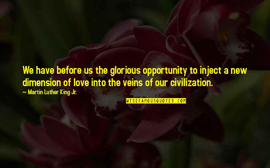 Funny Enthusiastic Quotes By Martin Luther King Jr.: We have before us the glorious opportunity to