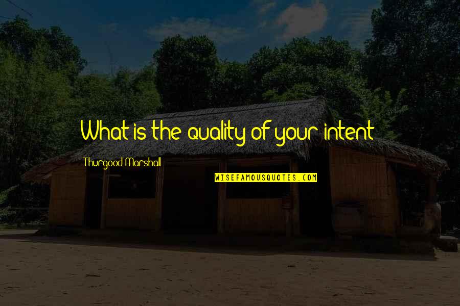Funny Eric Forman Quotes By Thurgood Marshall: What is the quality of your intent?