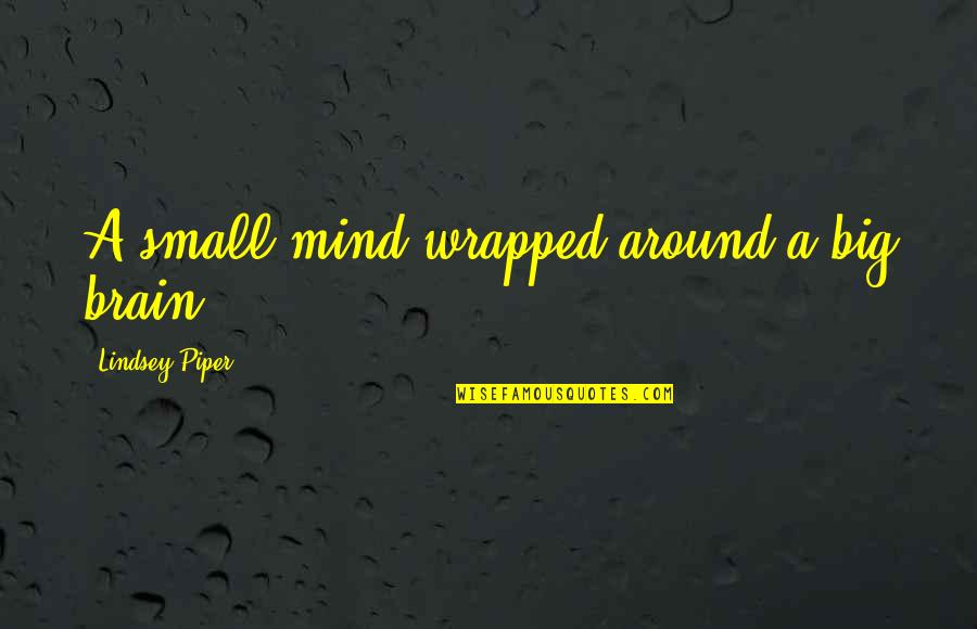Funny Euphemism Quotes By Lindsey Piper: A small mind wrapped around a big brain.