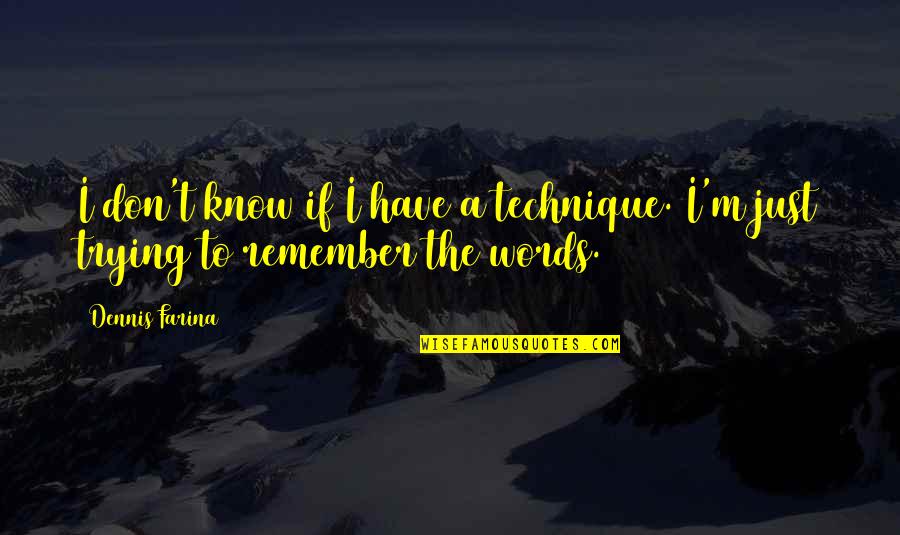 Funny Experience Quotes By Dennis Farina: I don't know if I have a technique.