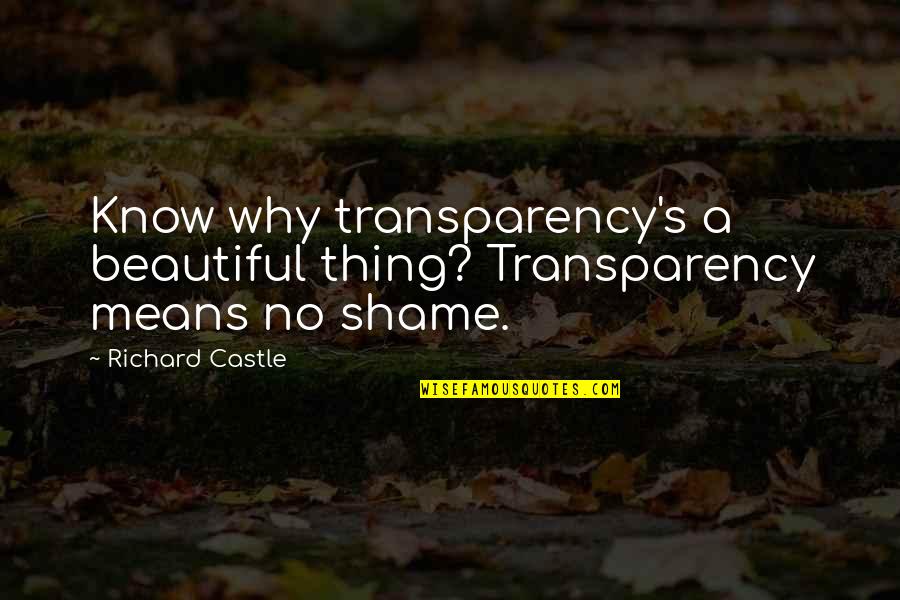 Funny Facebook Caption Quotes By Richard Castle: Know why transparency's a beautiful thing? Transparency means