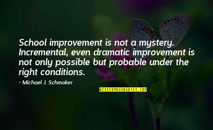Funny Fake Eyelashes Quotes By Michael J. Schmoker: School improvement is not a mystery. Incremental, even