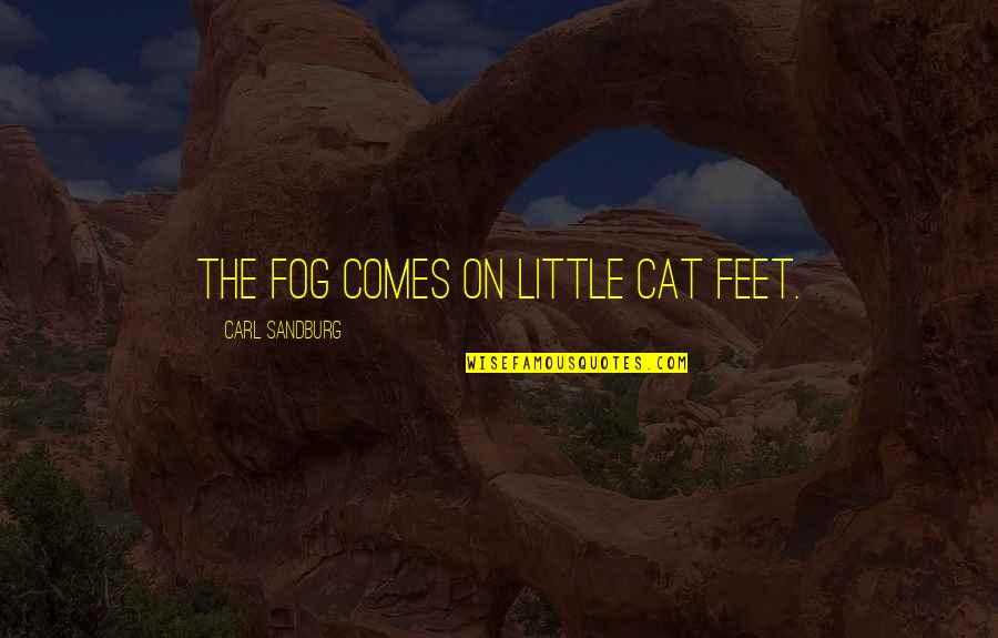 Funny Fake Internet Quotes By Carl Sandburg: The fog comes on little cat feet.