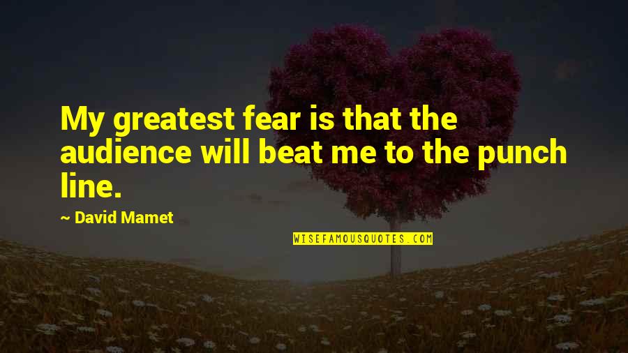 Funny Farming Quotes By David Mamet: My greatest fear is that the audience will