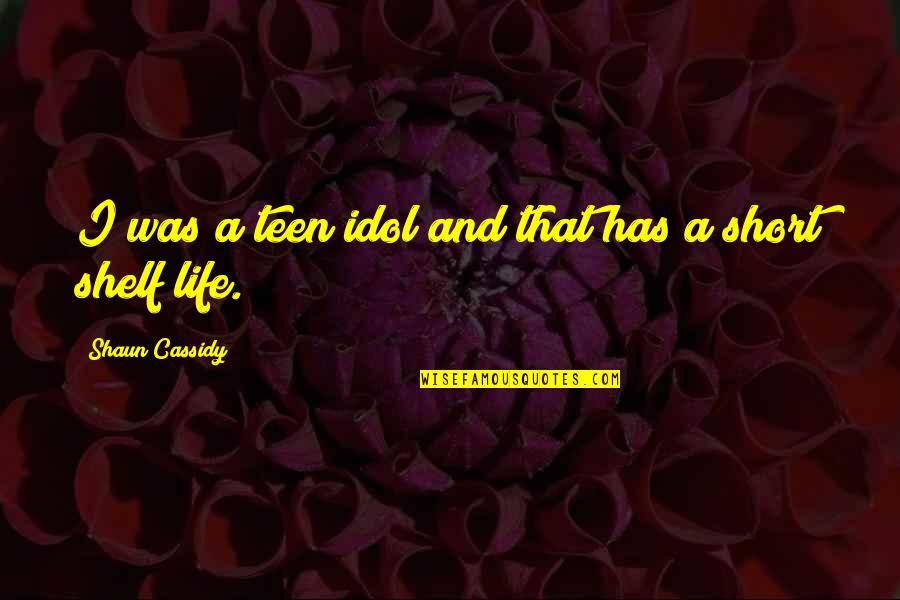 Funny Fetus Quotes By Shaun Cassidy: I was a teen idol and that has