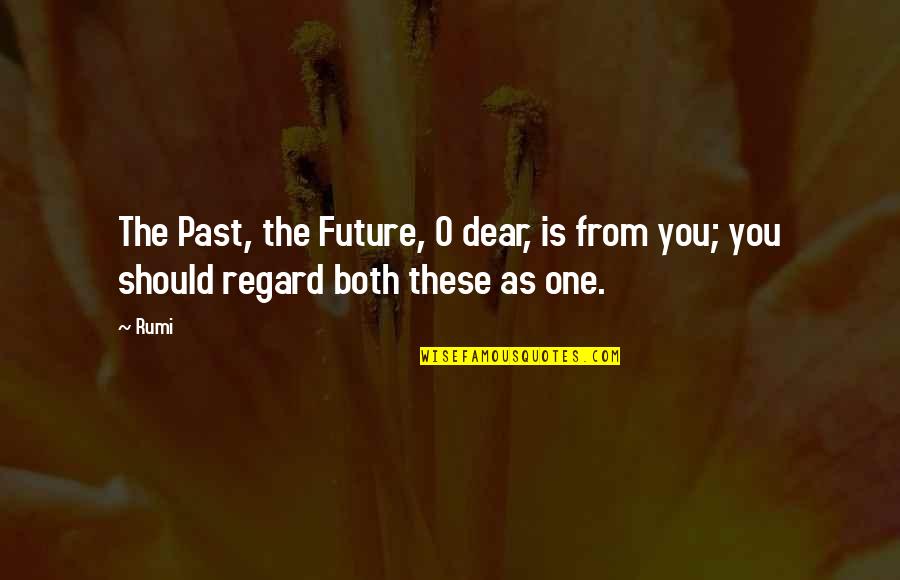 Funny Flower Power Quotes By Rumi: The Past, the Future, O dear, is from