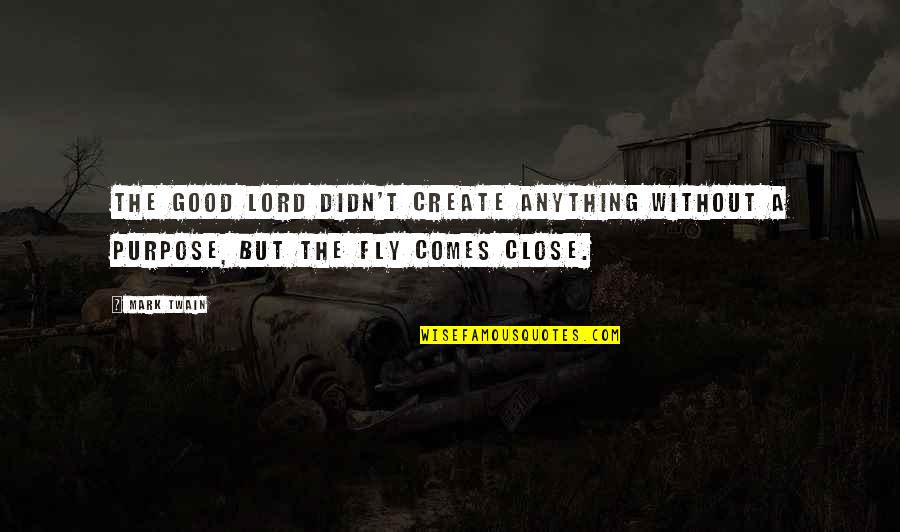 Funny Fly Quotes By Mark Twain: The good Lord didn't create anything without a