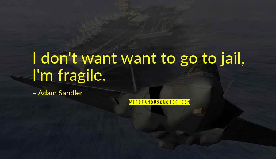 Funny Fragile Quotes By Adam Sandler: I don't want want to go to jail,