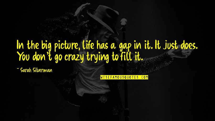 Funny Frank Iero Quotes By Sarah Silverman: In the big picture, life has a gap Funny Frank Iero Quotes By Sarah Silverman: In the big picture, life has a gap