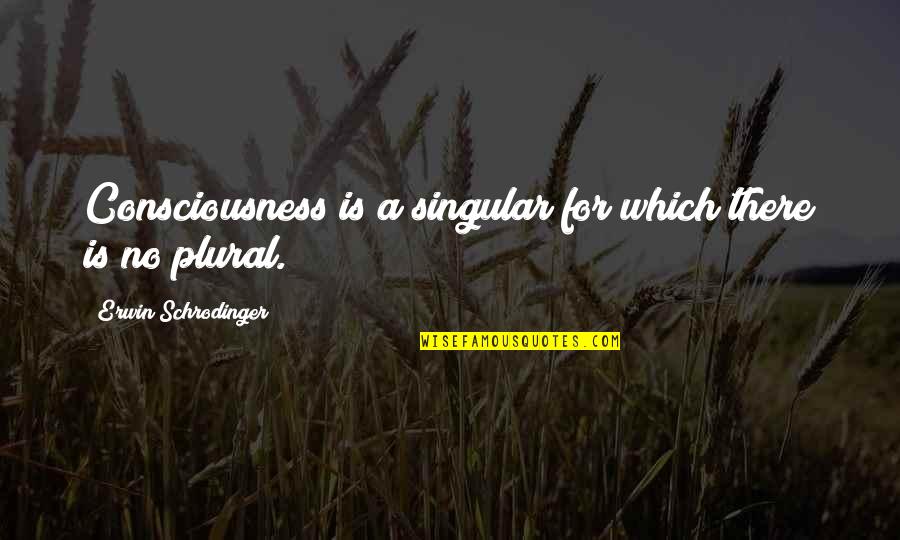 Funny Frat Drinking Quotes By Erwin Schrodinger: Consciousness is a singular for which there is Funny Frat Drinking Quotes By Erwin Schrodinger: Consciousness is a singular for which there is