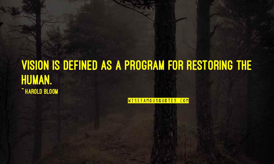 Funny Freshy Quotes By Harold Bloom: Vision is defined as a program for restoring