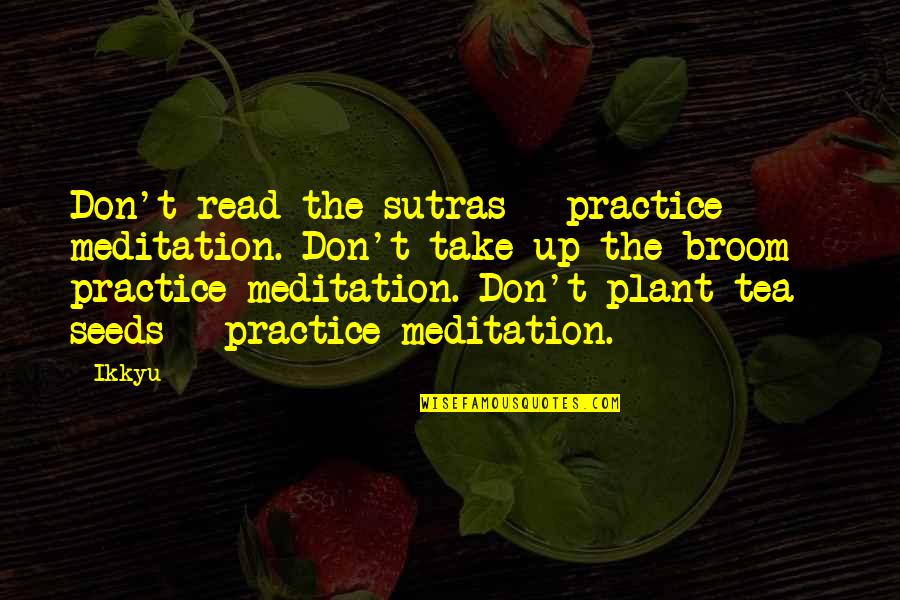 Funny Garage Door Quotes By Ikkyu: Don't read the sutras - practice meditation. Don't