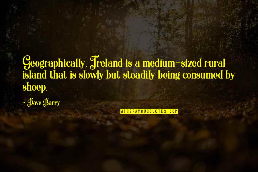 Funny Ghost Adventures Quotes By Dave Barry: Geographically, Ireland is a medium-sized rural island that