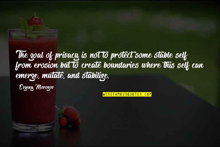 Funny Gliding Quotes By Evgeny Morozov: The goal of privacy is not to protect Funny Gliding Quotes By Evgeny Morozov: The goal of privacy is not to protect