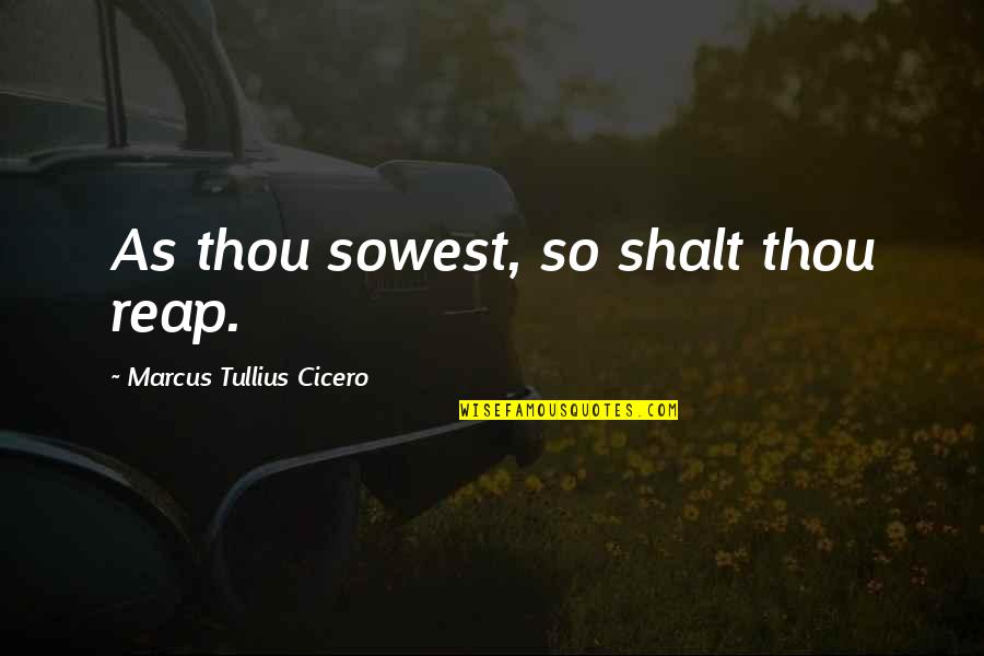 Funny Good Food Quotes By Marcus Tullius Cicero: As thou sowest, so shalt thou reap.