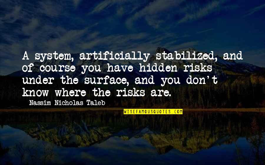 Funny Good Luck Quotes By Nassim Nicholas Taleb: A system, artificially stabilized, and of course you