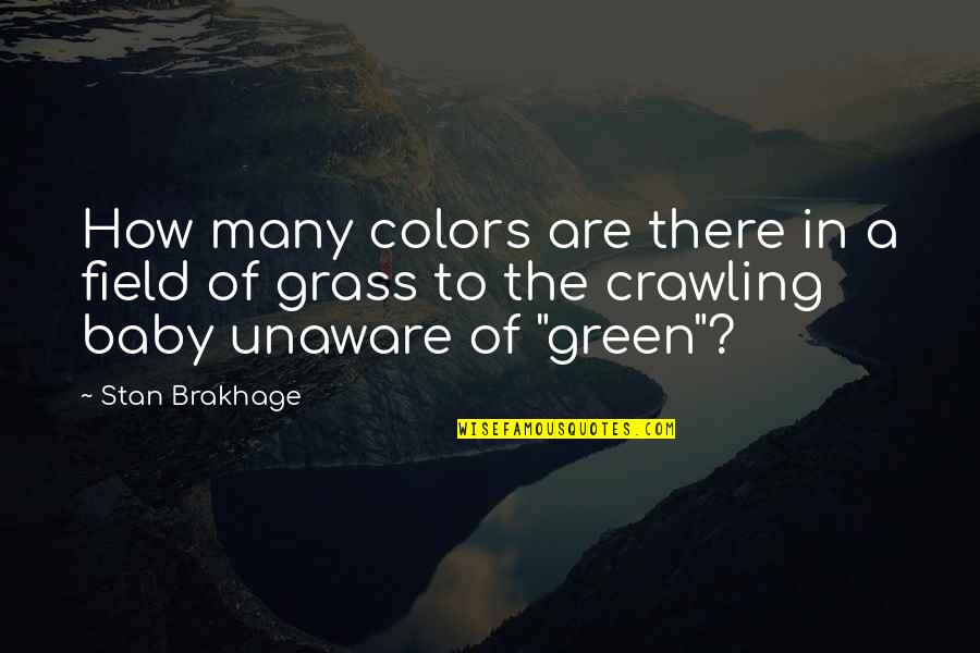 Funny Grad Quotes By Stan Brakhage: How many colors are there in a field Funny Grad Quotes By Stan Brakhage: How many colors are there in a field