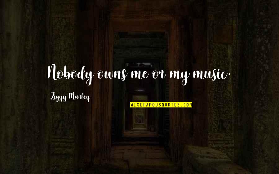 Funny Gratuity Quotes By Ziggy Marley: Nobody owns me or my music.