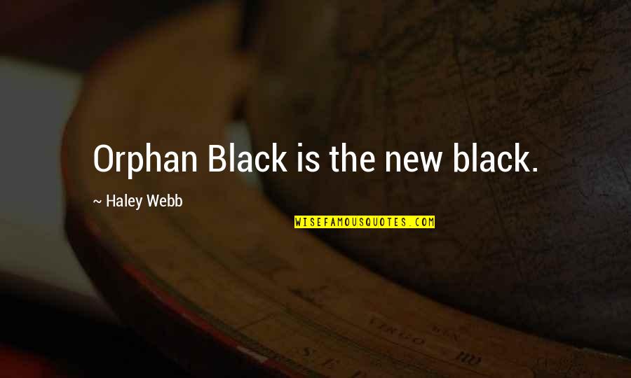 Funny Greg Giraldo Quotes By Haley Webb: Orphan Black is the new black. Funny Greg Giraldo Quotes By Haley Webb: Orphan Black is the new black.