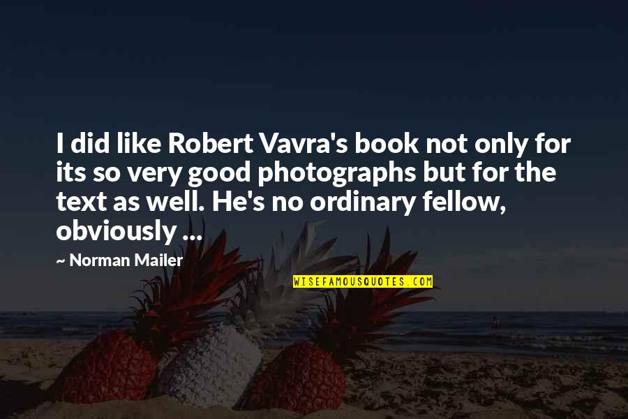Funny Grocery Quotes By Norman Mailer: I did like Robert Vavra's book not only