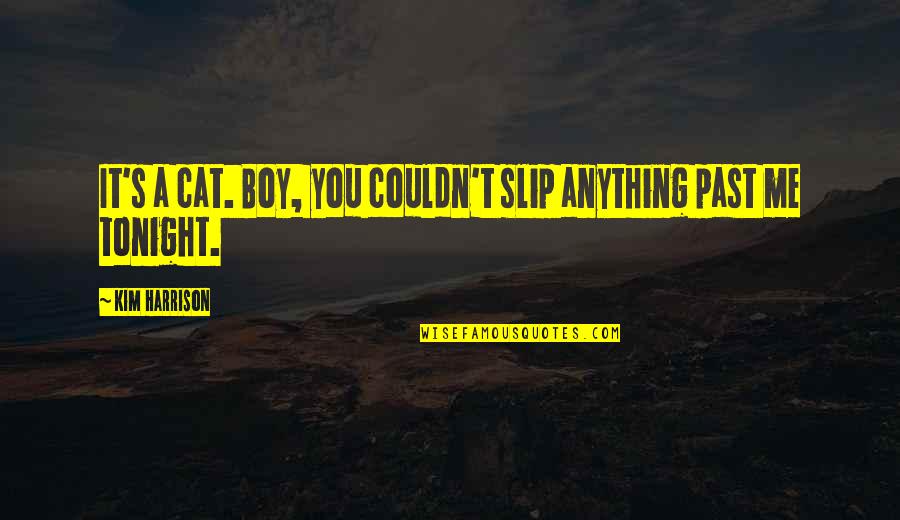 Funny Groovy Quotes By Kim Harrison: It's a cat. Boy, you couldn't slip anything