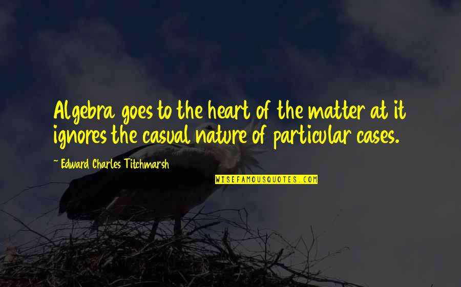 Funny Grunkle Stan Quotes By Edward Charles Titchmarsh: Algebra goes to the heart of the matter