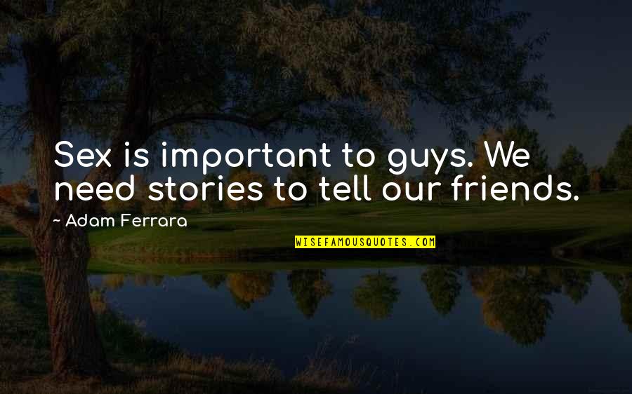 Funny Guys Quotes By Adam Ferrara: Sex is important to guys. We need stories
