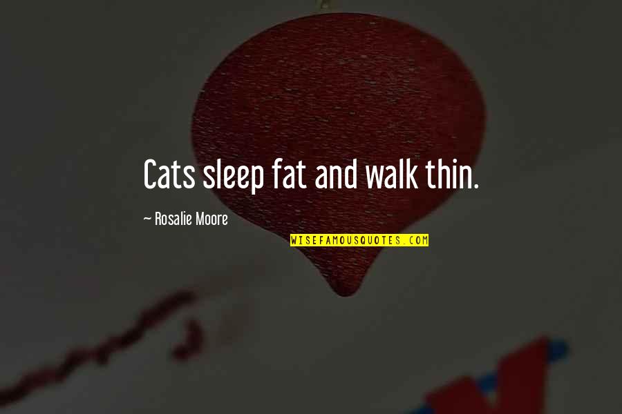 Funny Halloween Witches Images And Quotes By Rosalie Moore: Cats sleep fat and walk thin. Funny Halloween Witches Images And Quotes By Rosalie Moore: Cats sleep fat and walk thin.