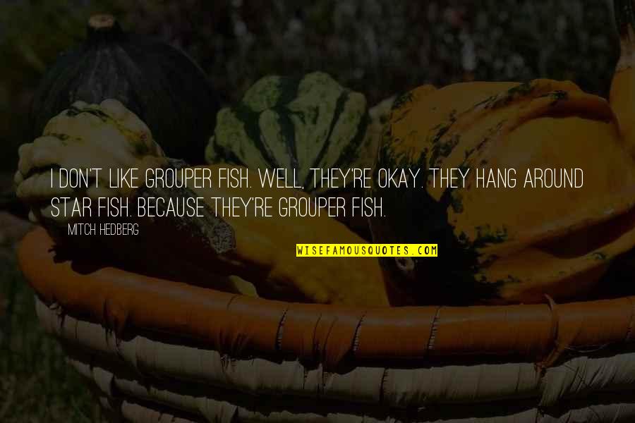 Funny Hang Up Quotes By Mitch Hedberg: I don't like grouper fish. Well, they're okay.