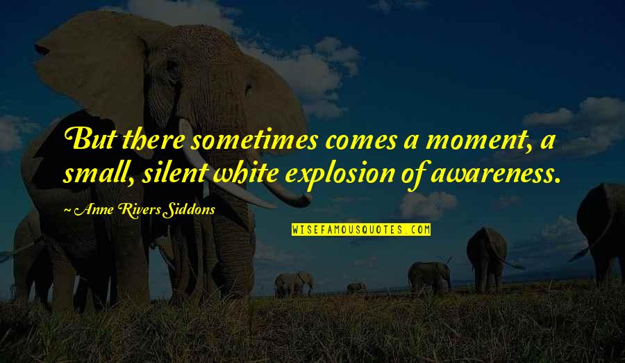 Funny Harry Caray Quotes By Anne Rivers Siddons: But there sometimes comes a moment, a small,