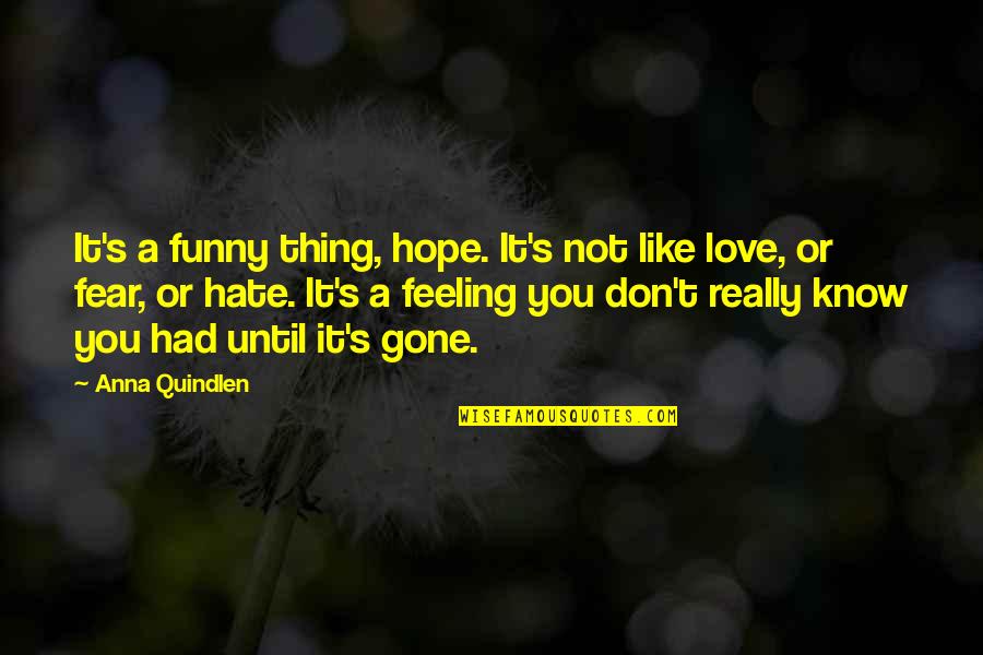 Funny Hate Quotes By Anna Quindlen: It's a funny thing, hope. It's not like
