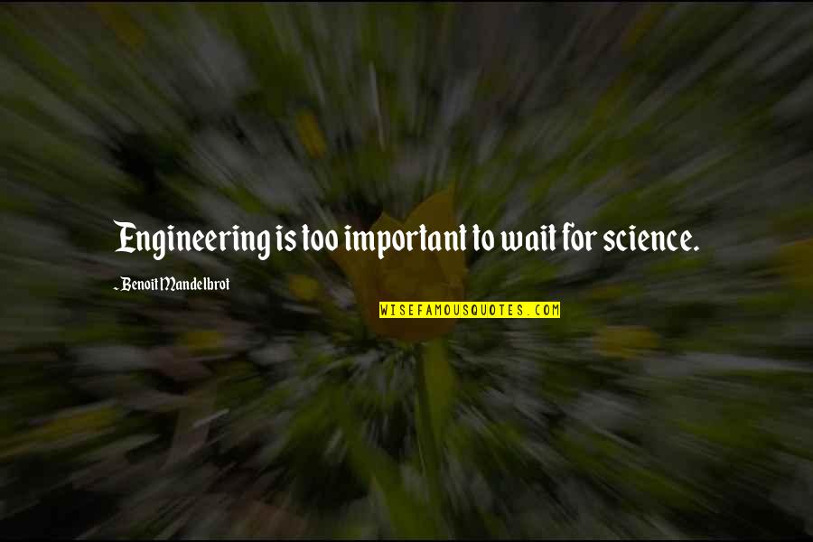 Funny Have A Nice Trip Quotes By Benoit Mandelbrot: Engineering is too important to wait for science.