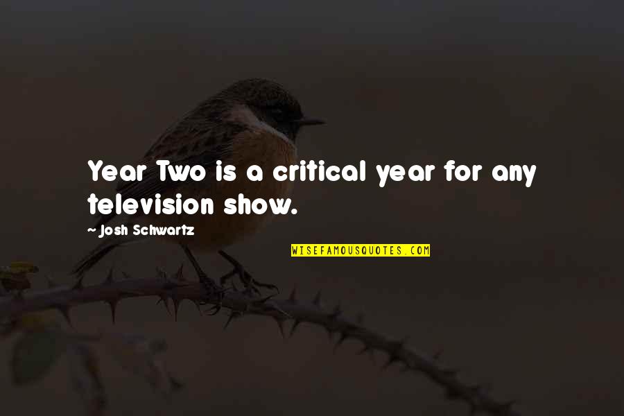 Funny Hellraiser Quotes By Josh Schwartz: Year Two is a critical year for any