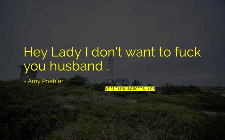 Funny Hey Quotes By Amy Poehler: Hey Lady I don't want to fuck you