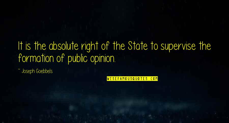 Funny Horror Movies Quotes By Joseph Goebbels: It is the absolute right of the State