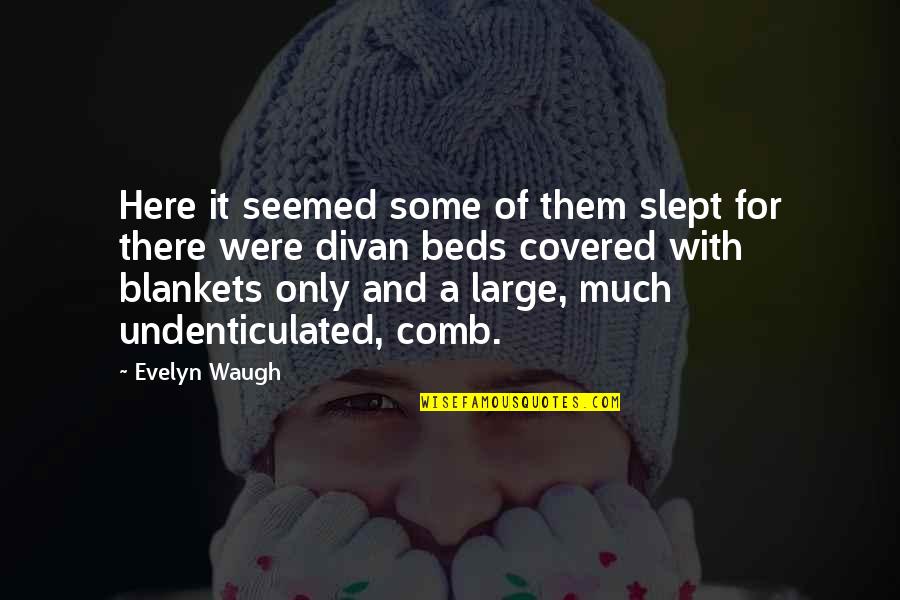 Funny Horse Owner Quotes By Evelyn Waugh: Here it seemed some of them slept for