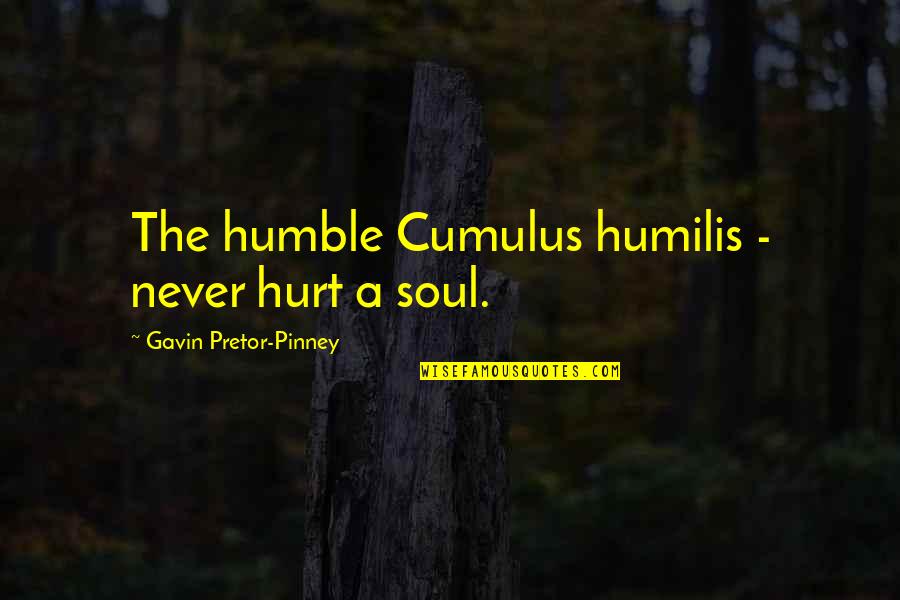 Funny Humble Quotes By Gavin Pretor-Pinney: The humble Cumulus humilis - never hurt a