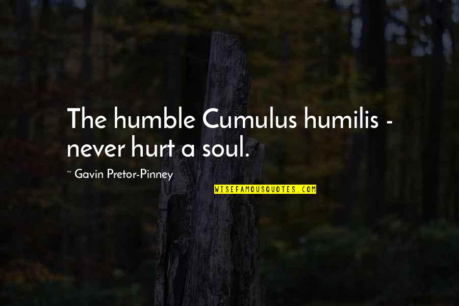 Funny Hurt Quotes By Gavin Pretor-Pinney: The humble Cumulus humilis - never hurt a