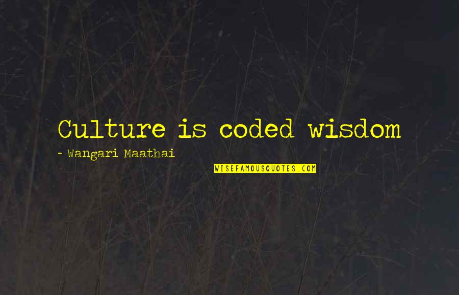 Funny I Could Care Less Quotes By Wangari Maathai: Culture is coded wisdom